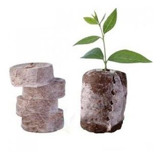 Coir Jiffy-Pellet hecho de turba, fácil de cultivar tus propias plantas, 99 DATOS DE ORO - Product Image 2