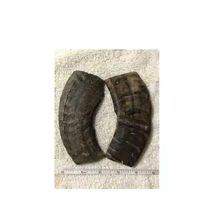 100% Natural Sheep Horn Plate Polished Ram horn sheep horn Customized Size for Knife scales and plates for Sale