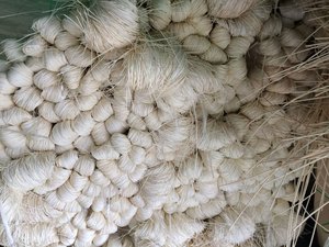 Noyau de rotin de qualité supérieure de forme naturelle Industrie artisanale du Vietnam - Product Image 6