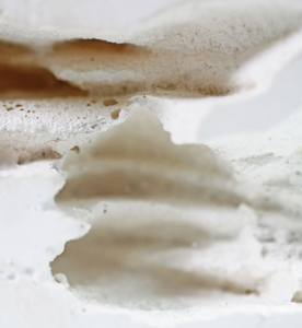 Imperio de Hormigas, Diseño Integrado Pequeño y Ecológico, Hormiguero Subterráneo para Alimentar Hormigas, Mayor Capacidad y Espacio - Product Image 5