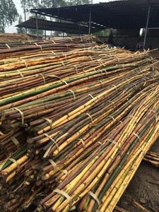 Furniture Outdoor Sofa Natural Rattan Strips Material - Wholesale 18mm to 50mm Rattan Manau <b>Cane</b> Poles - Product Image 2