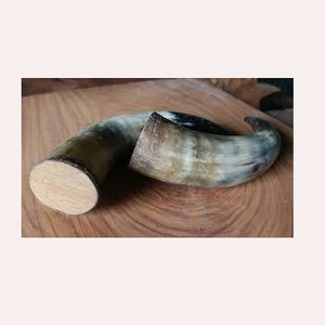 Corne décorative de meilleure qualité polie et base en bois artisanat naturel taille personnalisée corne décorative en bois à vendre - Product Image 3