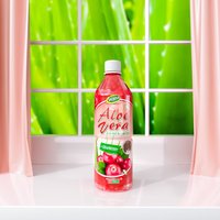 WANA OEM/ODM Productie Vietnam 500ml PET Versgeperste Aloë Vera Drank met Chia Zaden en Fruit Smaak, Gesteriliseerd, Gezond, Laag in Suiker