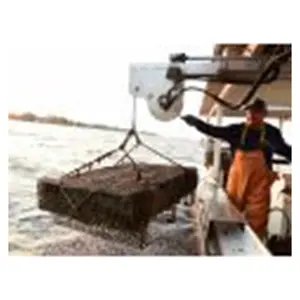 Oyster Bottom Cage Austern zucht Aquakultur Ausrüstung