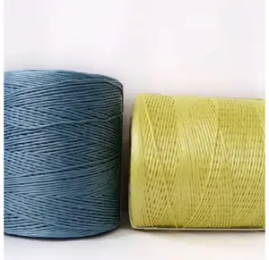 Índia Fábrica Corda Corda Corda Juta Corda para Artesanato DIY Obras de Arte e Embrulho Imagem Display Box PP PE Trançado Nylon Colorido Juta Agricultura Cordas Twine