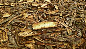 VIETNAM Joss Powder for Making Incense Stick, Mosquito Coil - Product Image 3