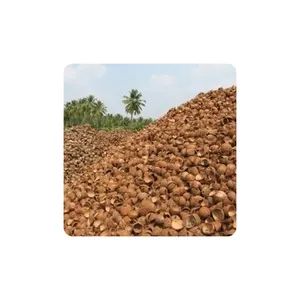 Top Selling Coconut Husk From India