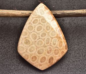 ปะการัง Cabochon AAA + Fosil หินปะการังสำหรับเครื่องประดับทุกประเภทรูปร่างผสมสำหรับการออกแบบเครื่องประดับราคาขายส่ง - Product Image 3