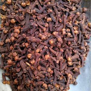 Grenures naturelles séchées, vente en gros, qualité alimentaire, avec AD, à vendre au Vietnam, vente en gros, - Product Image 4