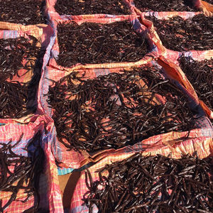 Fèves de vanille de Madagascar, fèves de vanille en kg, fèves de vanille au meilleur prix à vendre - Product Image 2