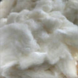 100% Coton Peigné Noil Blanchi Blanc 2% Déchets pour l'Application de Filature dans l'Industrie Cosmétique Mme Xavia +84 333371330 - Product Image 2