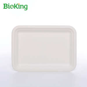 <span class=keywords><strong>BioKing</strong></span> ถาดชานอ้อย 5 ช่อง ถาดกระดาษโรงเรียน ถาดกระดาษ - Product Image 3