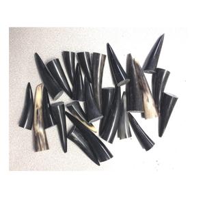 Puntas de cuerno de búhos, bocina natural, artesanía de la India, al mejor precio - Product Image 1