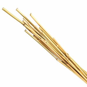 CAÑAS DE BAMBÚ NATURAL DE 100% A PRECIO BAJO VIETNAMITA/PALOS DE BAMBÚ/VARILLA DE BAMBÚ PARA PLANTAS Y JARDÍN DE ECO2GO VIET NAM - Product Image 6