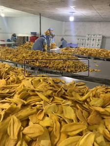 มะม่วงอบแห้งแบบหวานอ่อนไม่มีสีผลิตในเวียดนามสินค้าขายดีคุณเคท - Product Image 2