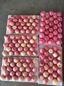 Manzanas frescas de Grado Superior Frutas frescas Nuevas manzanas de cultivo 8,5 cm Cultivo COMÚN 0,2Kg - Product Image 3