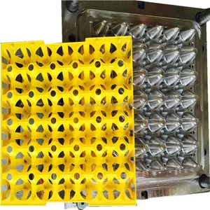Hot koop plastic injectie eierrekje mallen precisie kwaliteit plastic ei lade schimmel