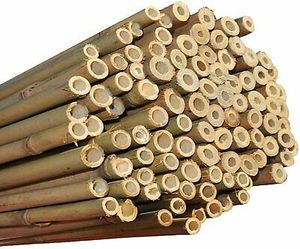 Poste de bambú para construcción/Poste de bambú natural de Vietnam para usar en agricultura, construcción - Product Image 5