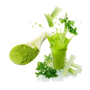 Poudre de céleri 100% HAUTE QUALITÉ / Poudre de céleri SUPER FERME RURALE pour l'EXPORTATION Mme Lily - Product Image 1