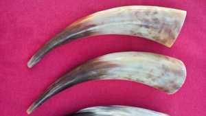 Corne de bière Culture viking corne à boire médiévale, cadeau de garçons d'honneur et cadeau de mariage BY NOORBABA INTERNATIONAL - Product Image 4