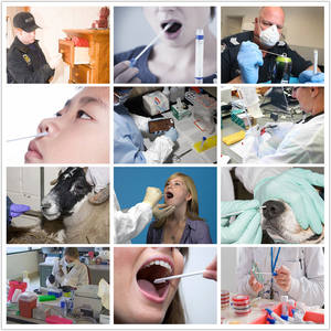 व्यक्तिगत पैकिंग डिस्पोजेबल हुजूम मौखिक चिकित्सा मुख सेल डीएनए नाक ग्रसनी swabs मध्यम मूत्रमार्ग बाँझ योनि झाड़ू - Product Image 3