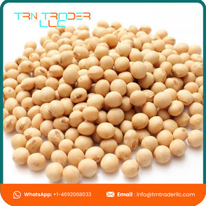 Fabricante profesional soja amarilla orgánica barata al mejor precio - Product Image 3