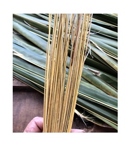 Palos de escoba de coco, palos de escoba de hoja de palma, jasmín: 0084, 374, 619, 429, venta al por mayor - Product Image 3