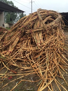 Material de caña de ratán, 18mm a 50mm, WS0084587176063, venta al por mayor - Product Image 5