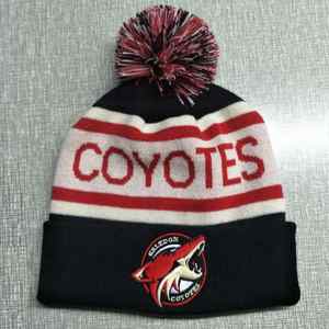 Winter Knitted Bobble Beanies Hats Customize Beanies Winter Sports Hats Warm And Elastic - Product Image 5