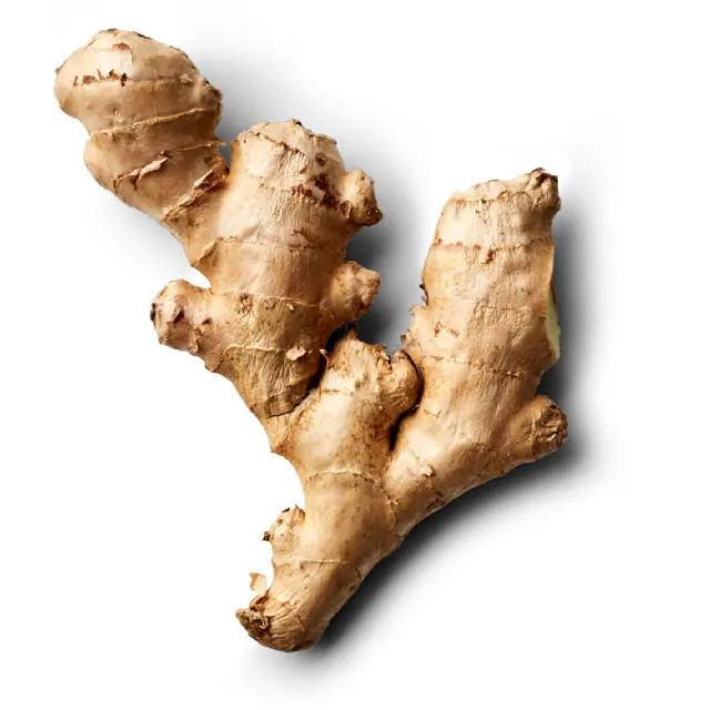 FRESH GINGER from Vietnam Bright Yellow Color Natural Origin Type Young