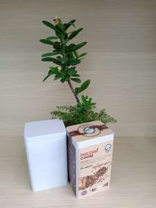 Envase de lata para galletas y dulces, lata vacía para alimentos (PITA + 84 797987481) - Product Image 2