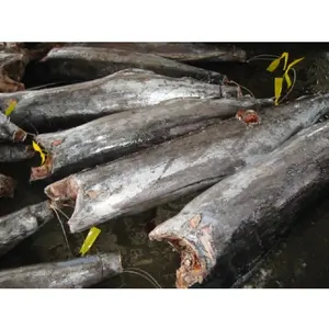 野生捕获营养低钠维生素IQF冷冻黑马林鱼DWT各种包装生鱼片级