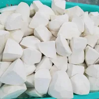 Tanaman Terbaru Vietnam Taro Root dengan Harga Yang Baik