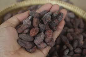 Precio de polvo de cacao - Product Image 5