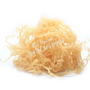 Musgo de mar, producto de allthy de Vietnam/Ms KIO HUYNH + 84 375 de 8904 - Product Image 6