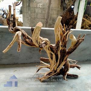Top Trending 2025 plantas de decoración de acuario Natural Thanh Lieu estilo Driftwood para venta al por mayor acuática - Product Image 1