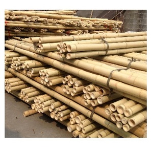 Varillas y Postes de Bambú al por Mayor para Construcción y Hogar ([Ws0084587176063] - Product Image 5