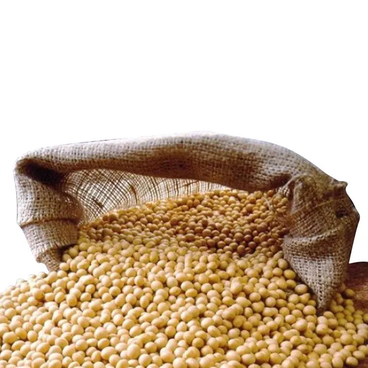 Calidad Premium no GMO soja y frijoles de soja/semillas de soja para la venta