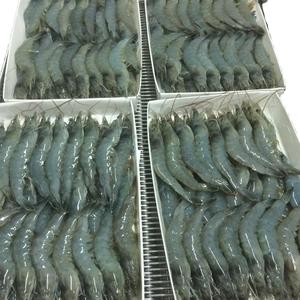 Camarones Tigre Negros Frescos de Calidad Estándar en Caja de 1.00 kg de Ontario, Canadá - Product Image 1