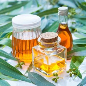 ผู้จัดจำหน่ายน้ำมันหอมระเหยยูคาลิปตัสออร์แกนิกที่ผ่านการรับรอง/ผู้ส่งออก - Product Image 2