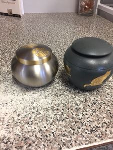 Urna para Mascotas de Metal Verde Estilo Americano PAW Crema de Brassworld India - Product Image 4