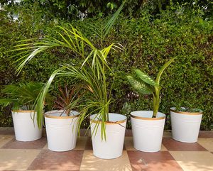 Garden Planters for Outdoor/Indoor Plants Bucket With Handle <b>Square</b> <b>Large</b> Planters and Pots - Product Image 3