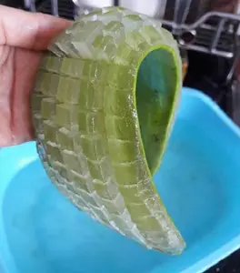 Gelatina di Aloe vera a base di 100% pura Aloe Vera / Mr. Kevin 84 968311314