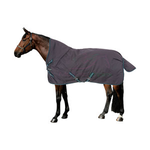 Mosaïque Impex personnalisable OEM tapis de cheval matelassé/couverture vert pin avec doublure en coton couleurs personnalisées équestre-friendly - Product Image 5