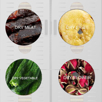Déshydrateur Électrique Professionnel en Acier Inoxydable à Zone Unique, 20 Plateaux, pour Fruits et Aliments, Plage de Température 30-90°C, Compatibilité 230V/110V