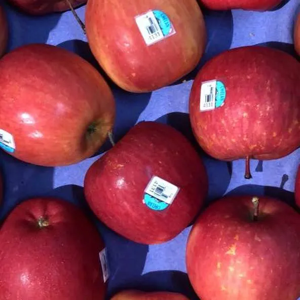 2021 nuovo raccolto frutta fresca mele Fuji rosse