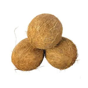 ताजा परिपक्व COCONUTS/अर्ध HUSKED नारियल वियतनाम से 99 सोने डेटा