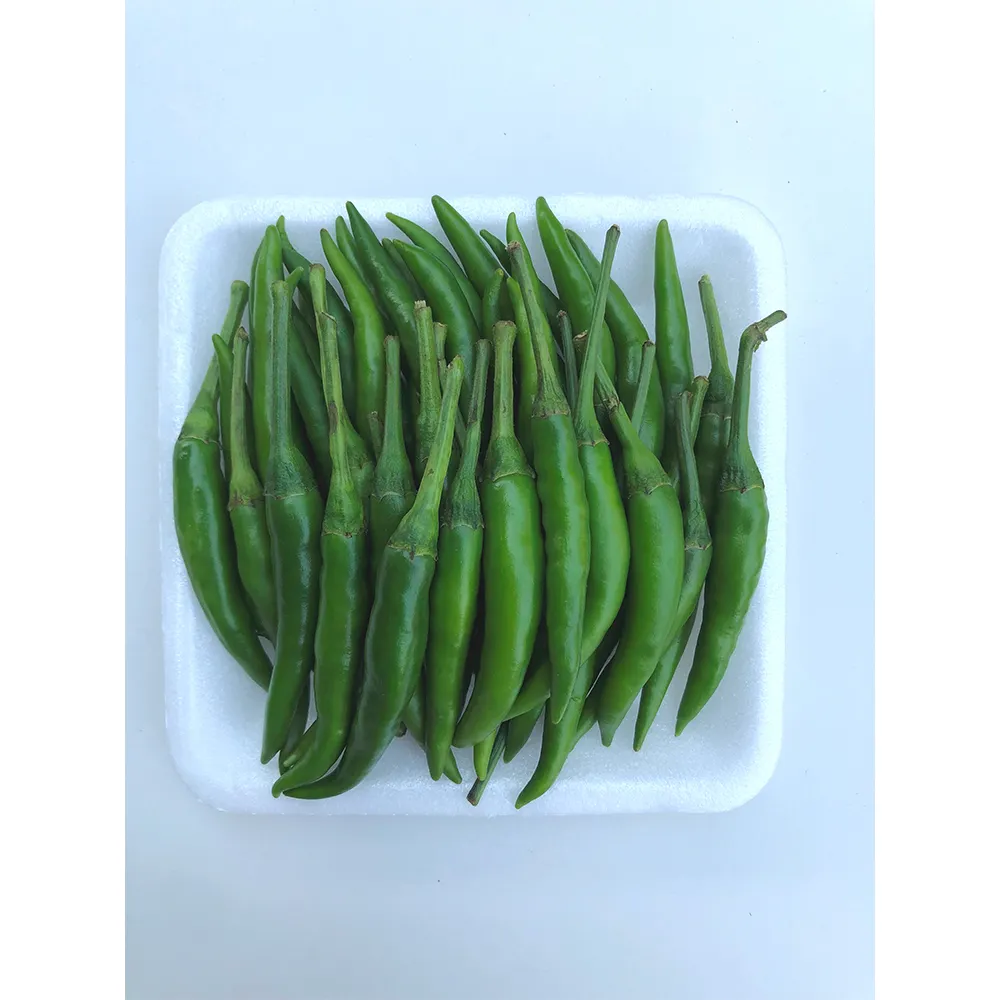 OEM/ODM Green Chilli Fresh Premium Grade Hot Spicy Fresh Vegetables from Thailand Agriculture for 100% Export New Products