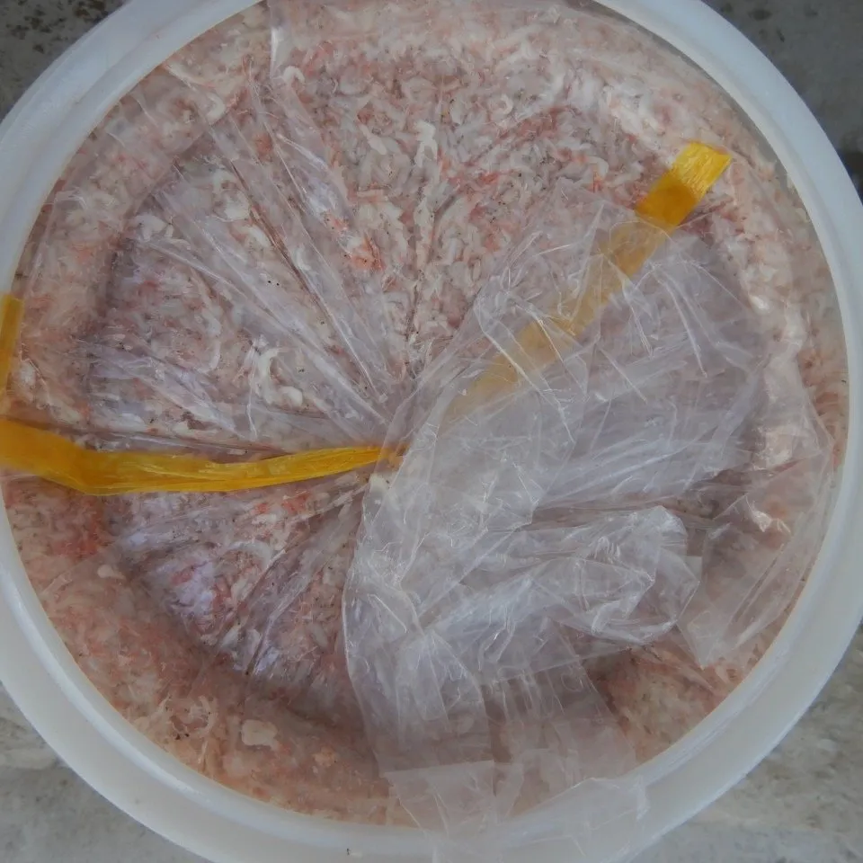 Crevette fermentée et bouclée pour bébés, de haute qualité (meilleur prix), 1 pièce