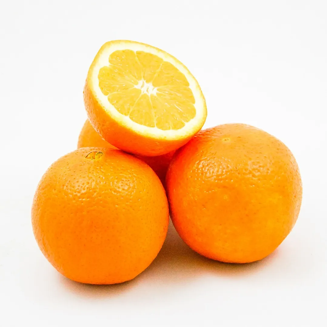 Frische Orange aus der Türkei Beste Qualität Bester Preis